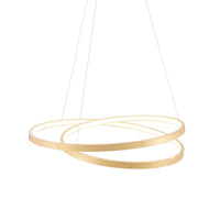 Ring Show Ceiling Pendant Ring Show Ceiling Pendant