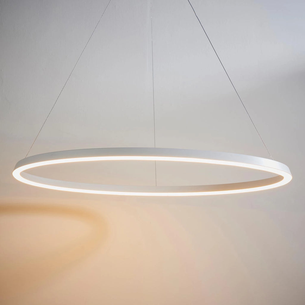 Eden Ring Ceiling Pendant Eden Ring Ceiling Pendant