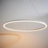 Eden Ring Ceiling Pendant Eden Ring Ceiling Pendant