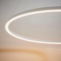 Eden Ring Ceiling Pendant Eden Ring Ceiling Pendant