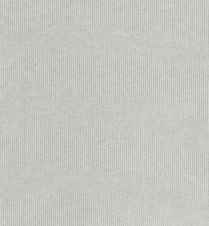 Stain Resistant Dolce Velvet Sample