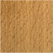 Natural Beech