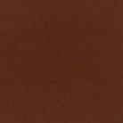 Stain Safe - Cuddleproof Velvet