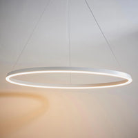 Eden Ring Ceiling Pendant